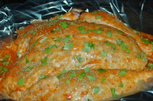 chicken