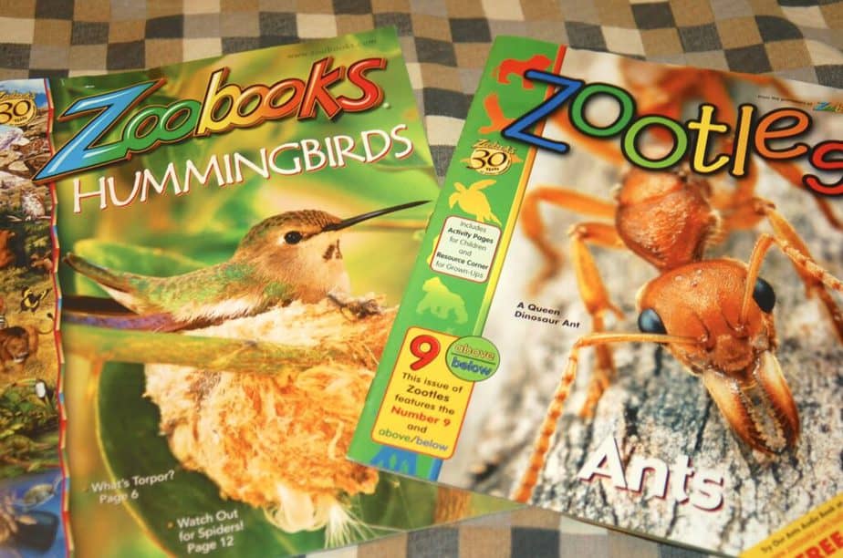 Zoobooks and Zootles magazines