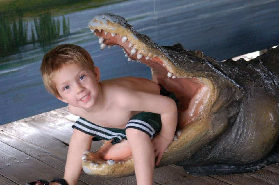 boy sitting in alligator mouth