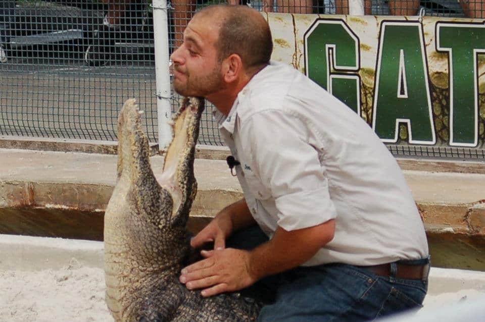 gatorland man holding gator mouth