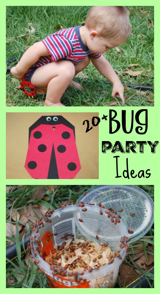 Bug Birthday Party Ideas