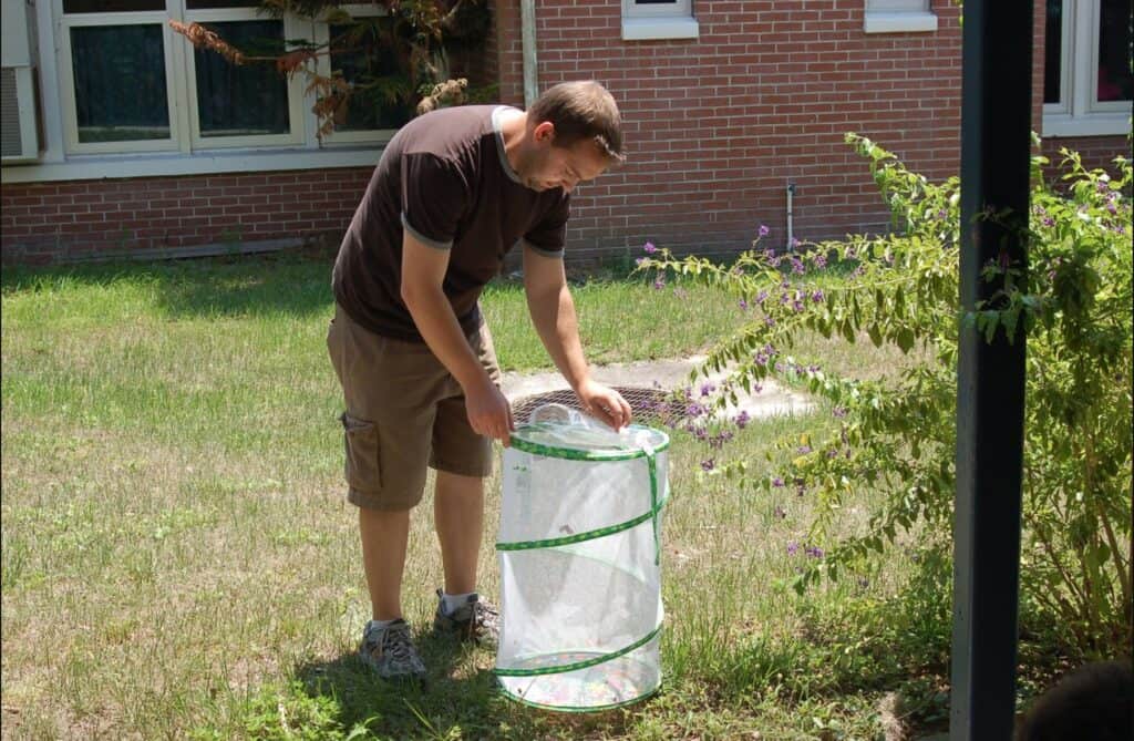 teacher opening bug hamper