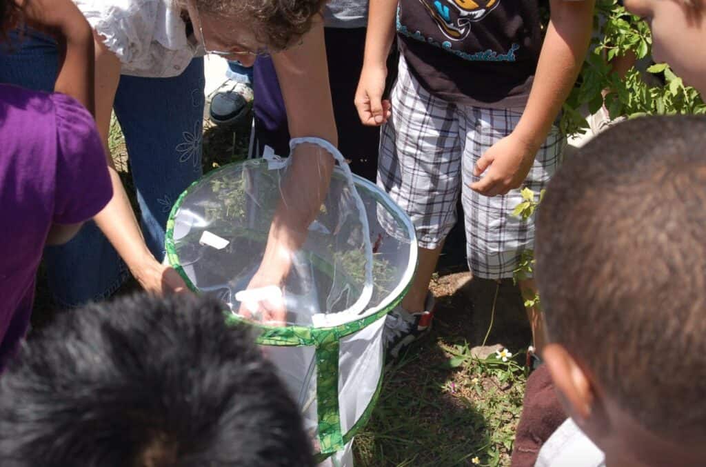 teacher releasing butterflies