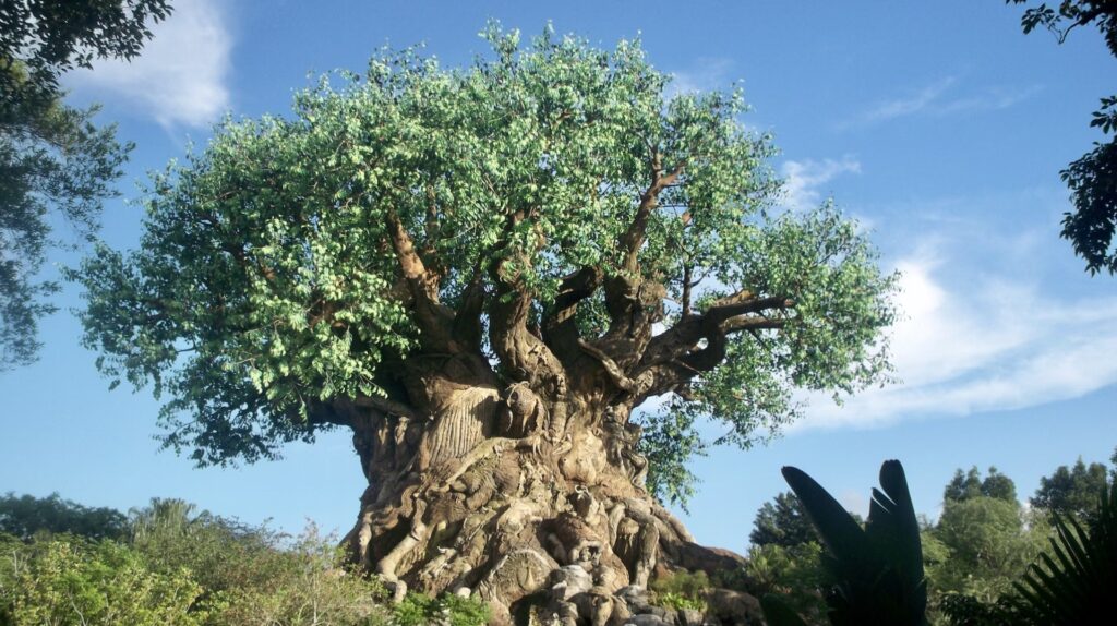 tree of life at Animal Kingdom at Walt Disney World