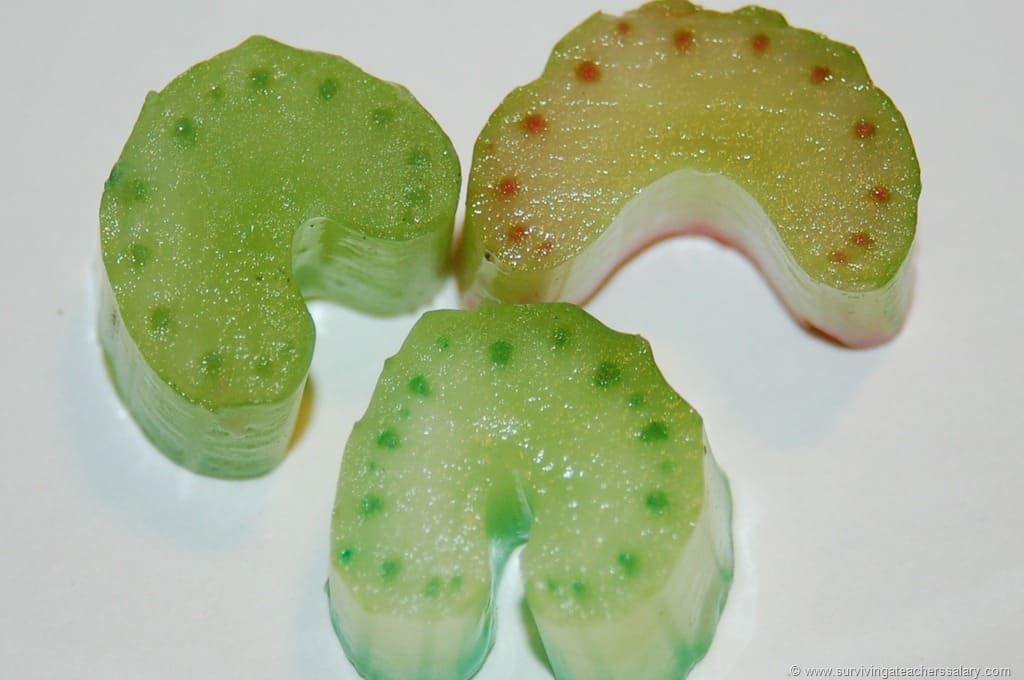 colored slices of celery