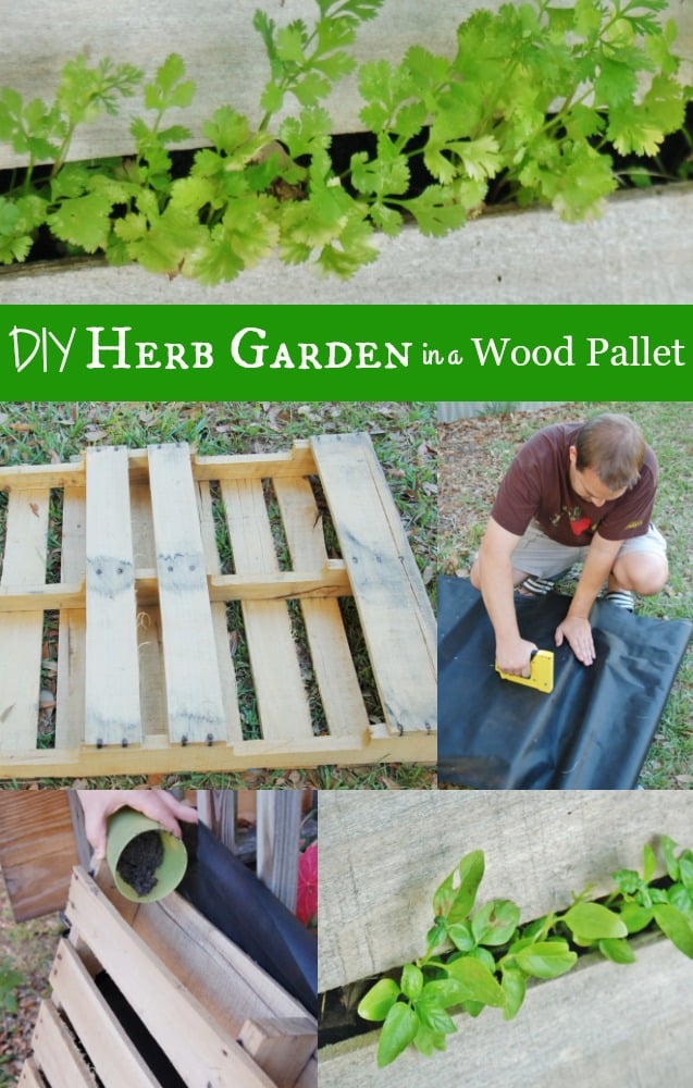 How to Make a Wood Pallet Garden for Herbs Tutorial