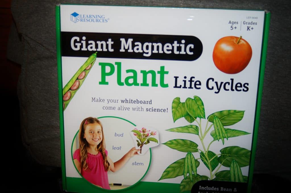 Giant Magnetic Plant Life Cycles Review