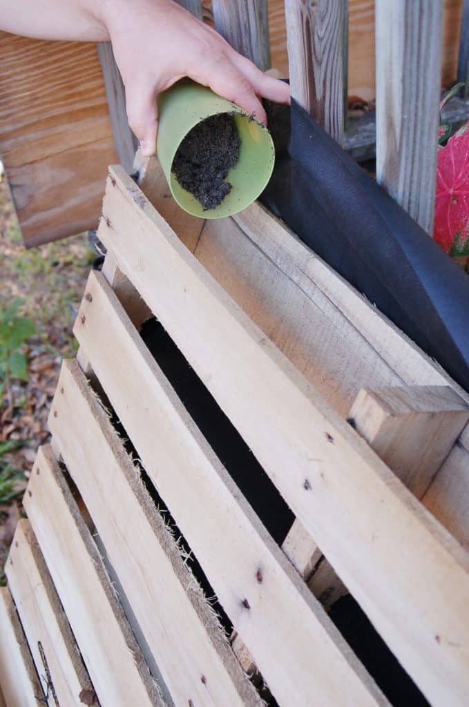 DIY Garden from Recycled Wooden Pallet