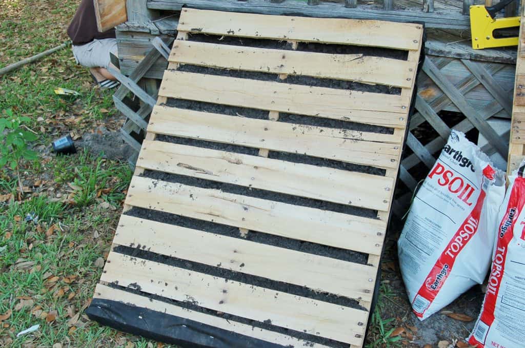 DIY Garden from Recycled Wooden Pallet