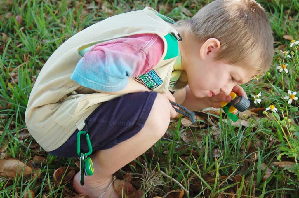 adventure boy looking for bugs