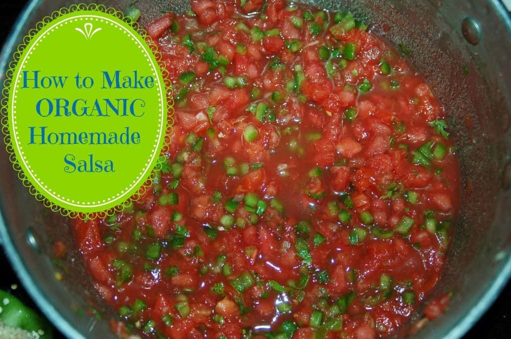 homemade salsa photo