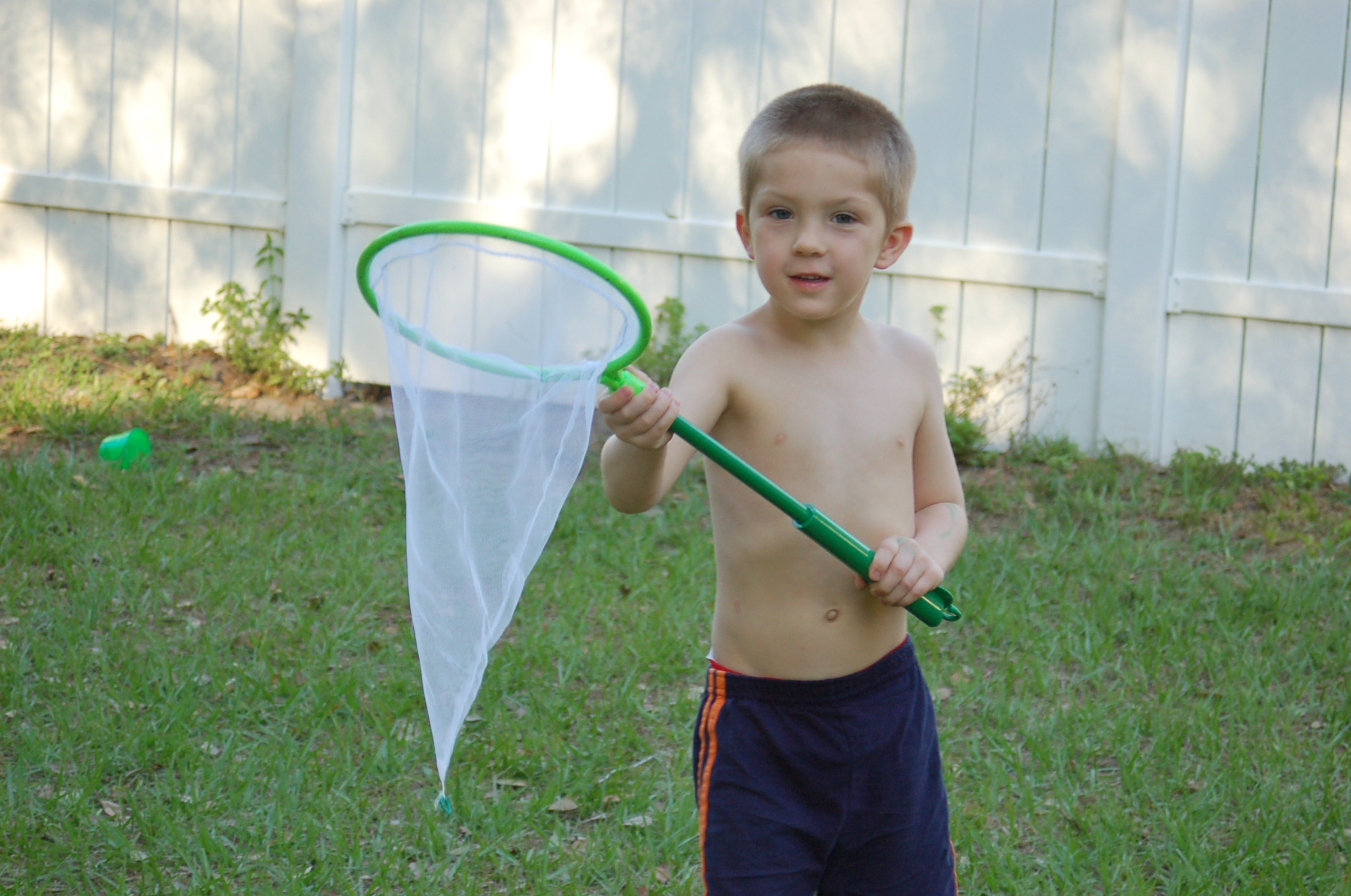 Primary Science Catch 'n' View Butterfly Net Review