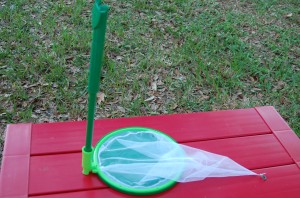 Primary Science Catch 'n' View Butterfly Net Review