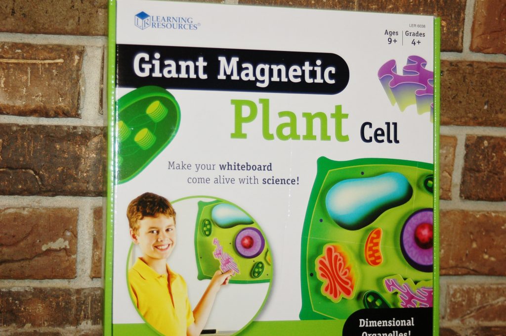 Giant Magnetic Plant Cell by Learning Resources