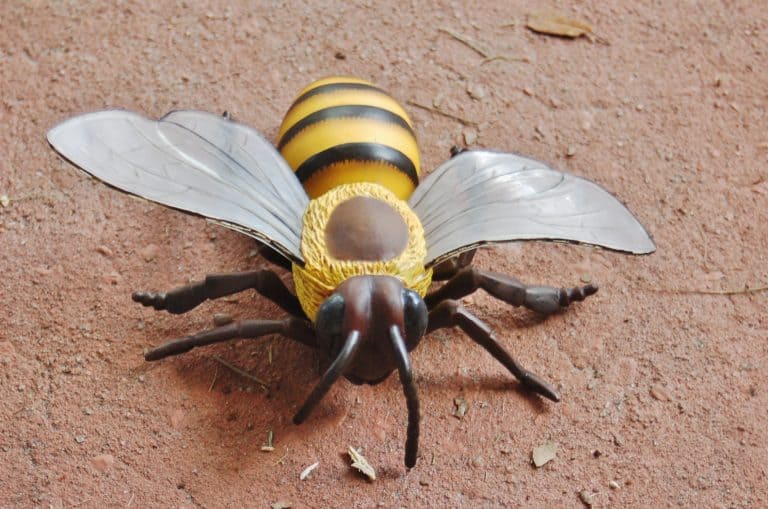 Bumblebee Kid’s Bug & Insect Craft