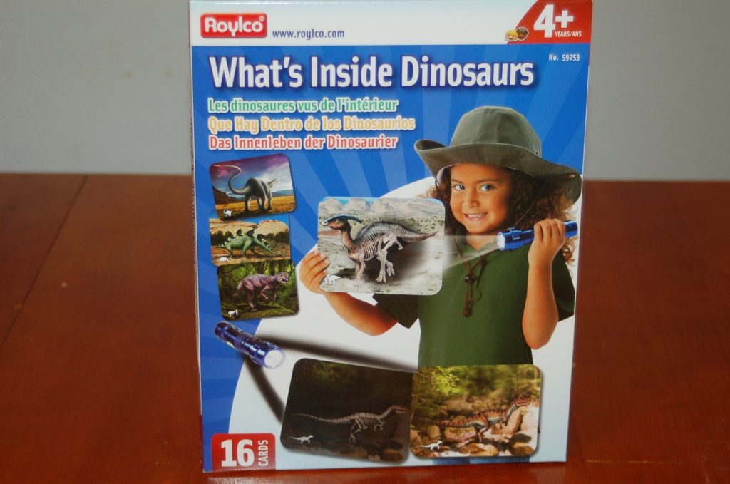 What's Inside Dinosaurs learning cards