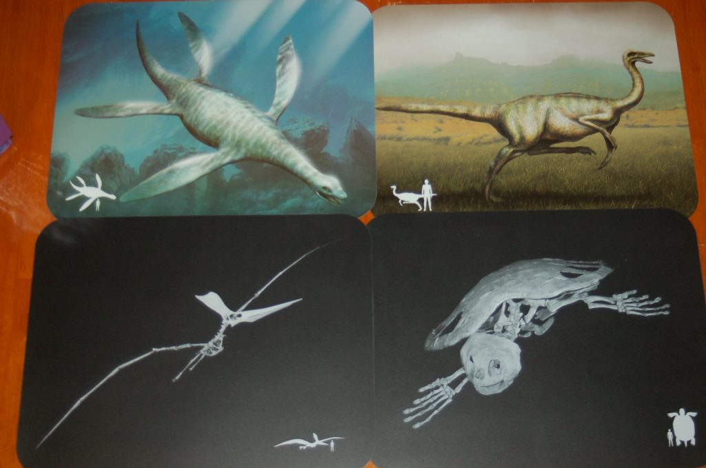 four dinosaur xray cards