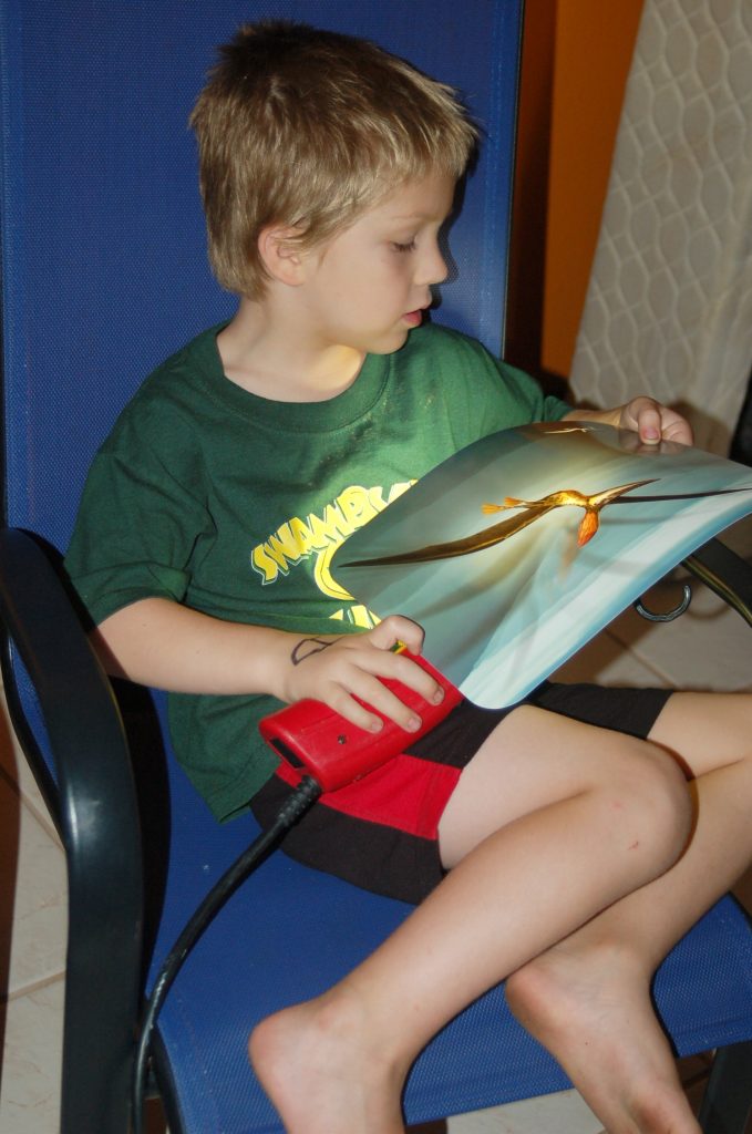 boy looking at dinosaur flashcards