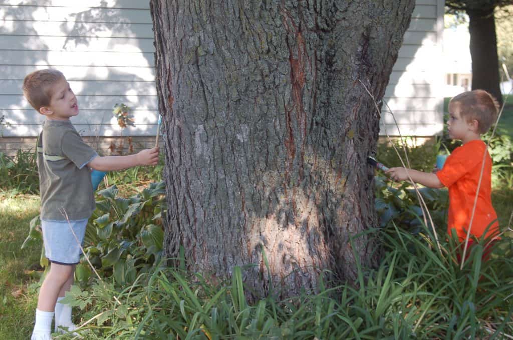 two boys brothers painting on tree