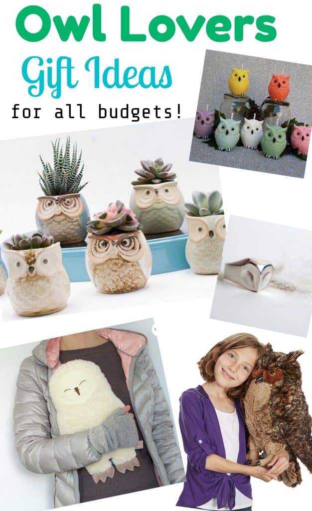 Owl Lovers Gift Ideas for All Budgets