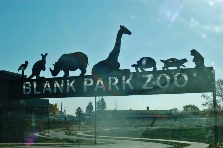 A Day Visiting the Blank Park Zoo in Des Moines, Iowa