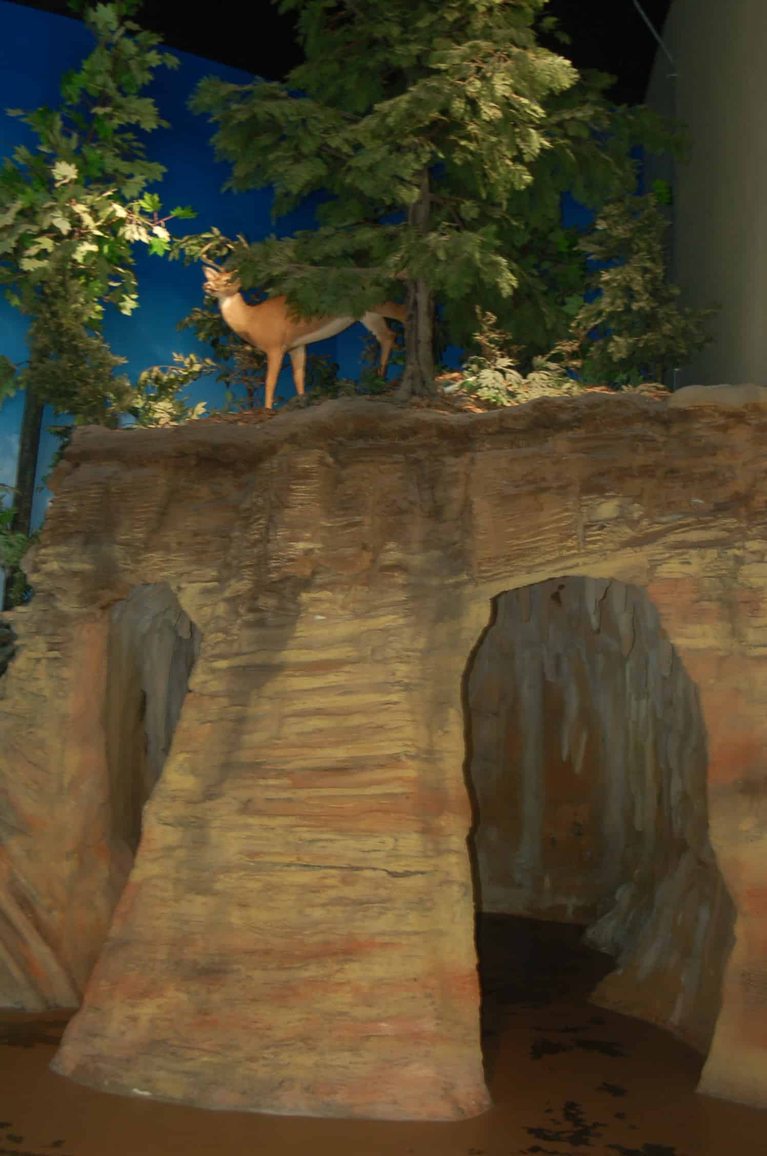 Tips for Visiting the Des Moines Science Center of Iowa