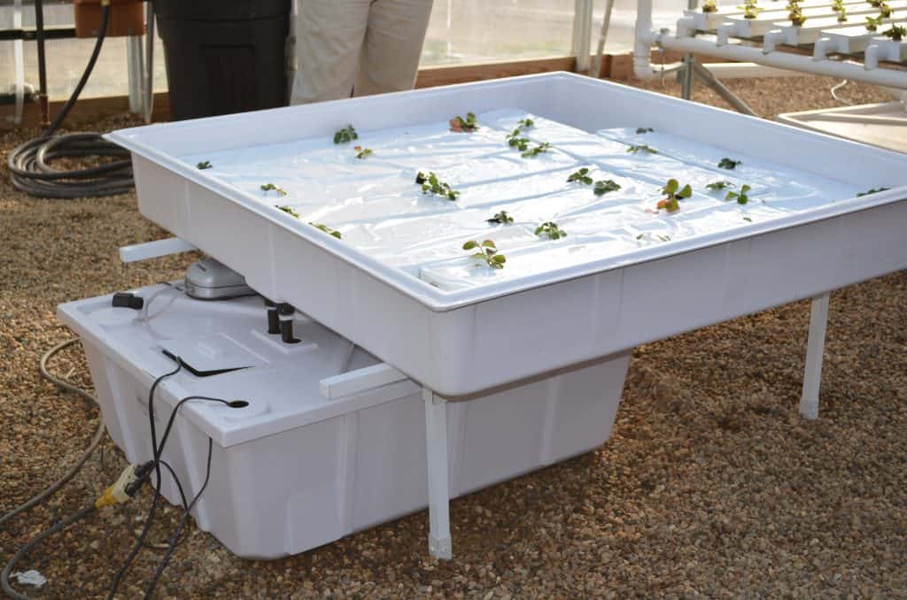 ebb and flow hydroponic system at Farmtek greenhouse