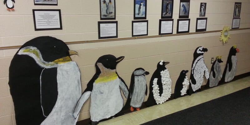 Penguin, Classroom Wall Decor