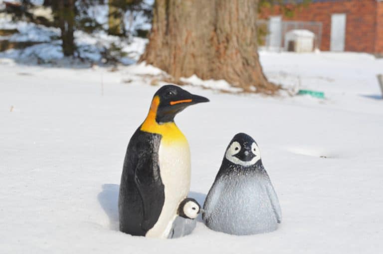 how to make an paper football 17 Cute Penguin Christmas Ornaments for Kids to Make