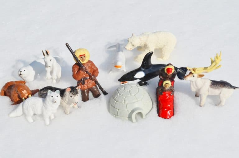 Safari Ltd. Arctic TOOB Review: Educational Toys for Kids