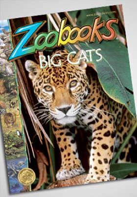 zoobooks