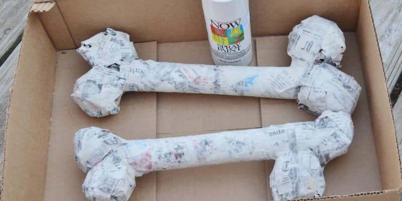 DIY Paper Mache Dinosaur or Halloween Bones