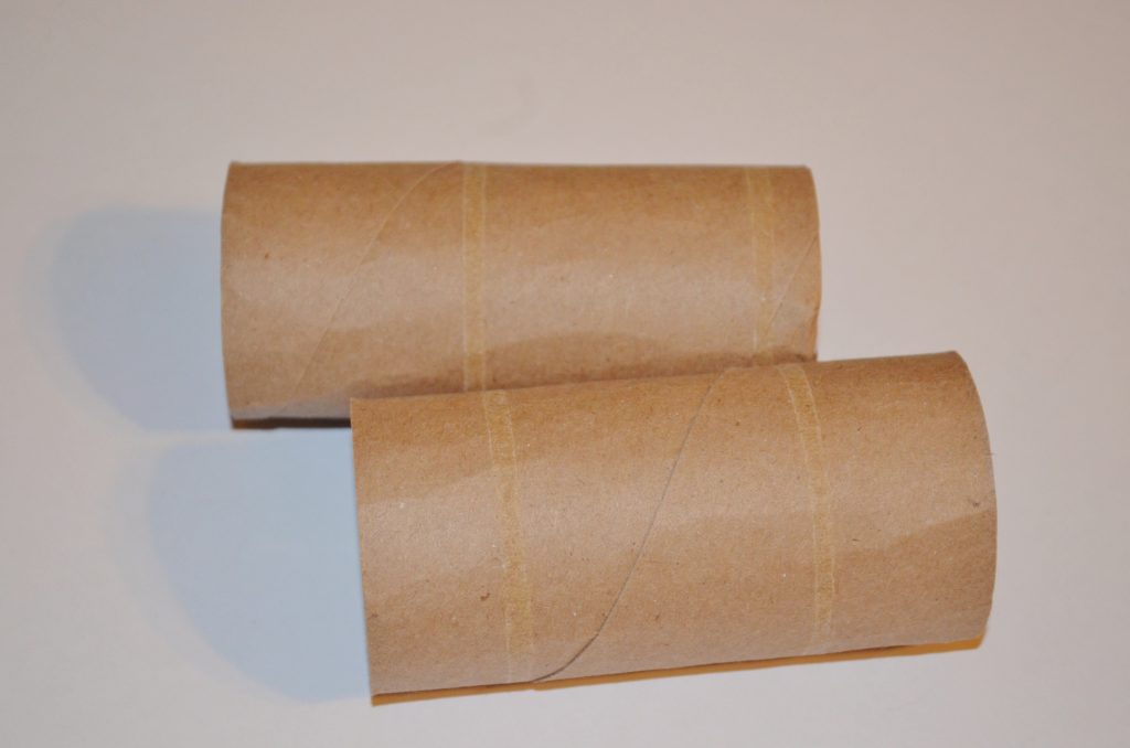 recycled toilet paper tube snake craft