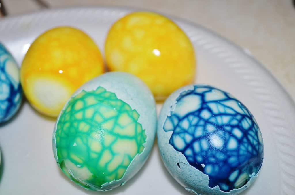 Dyed Crackle Dinosaur Eggs Nest