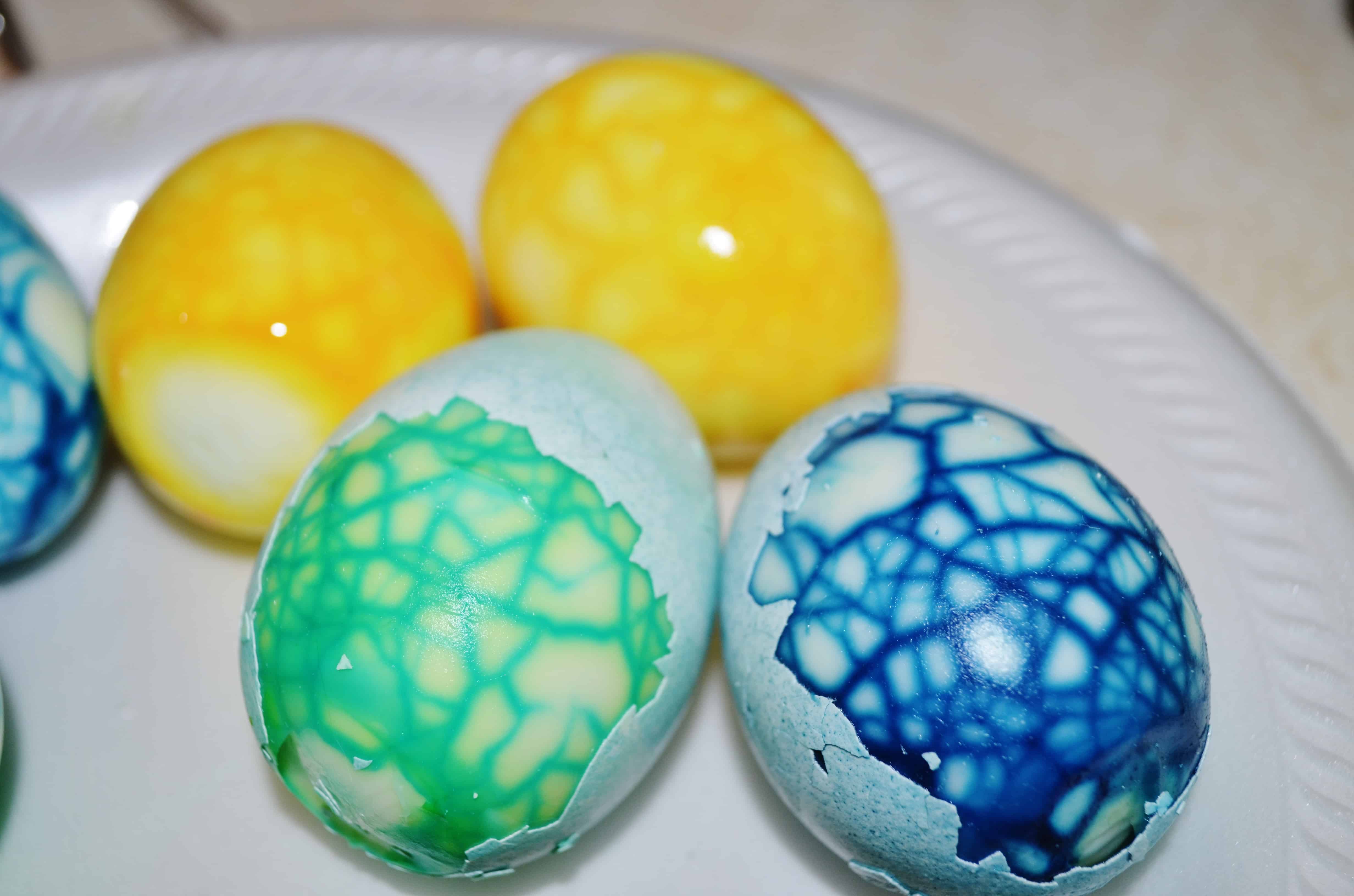 dinosaur eggs in nest