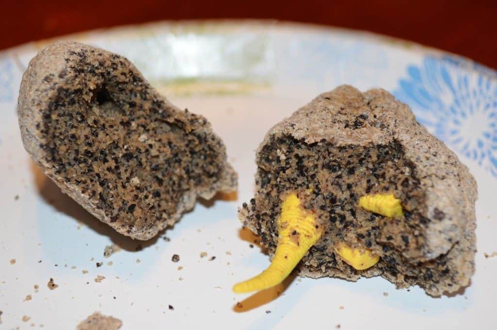 broken dinosaur dig egg
