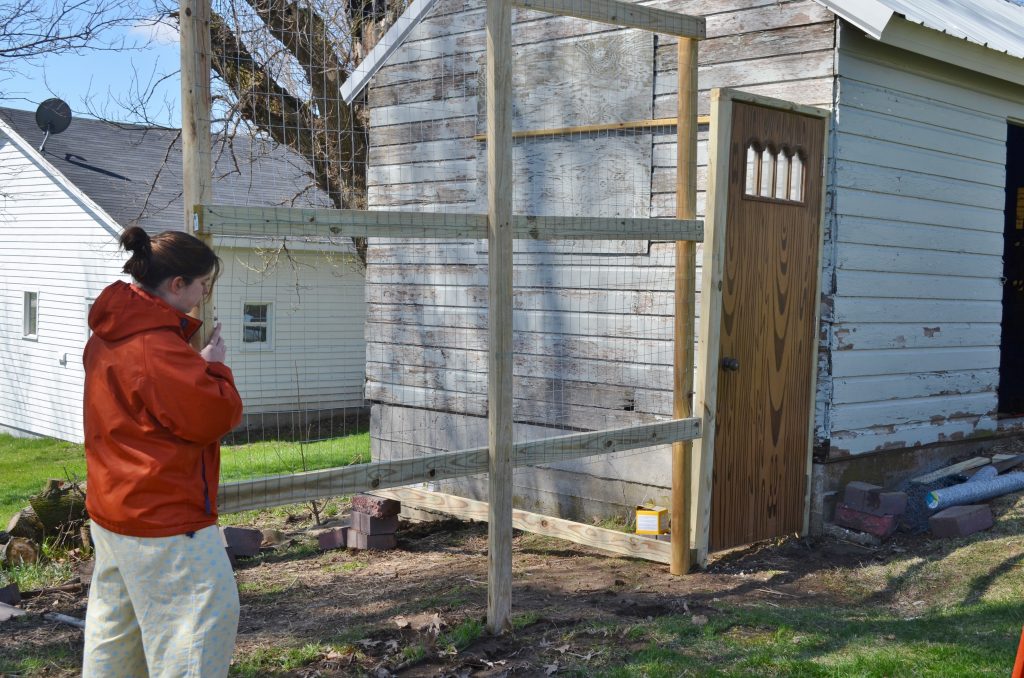 #digin DIY chicken coop