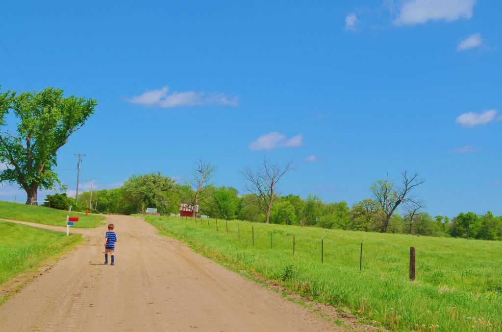 nature field