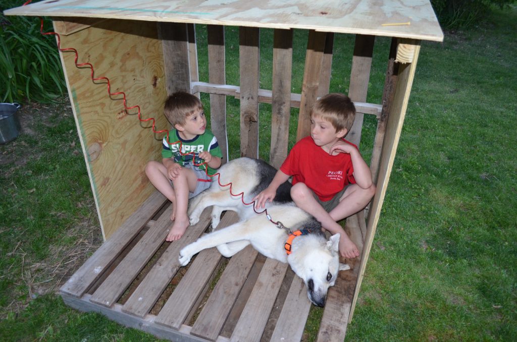 DIY Dog House Wooden Pallets