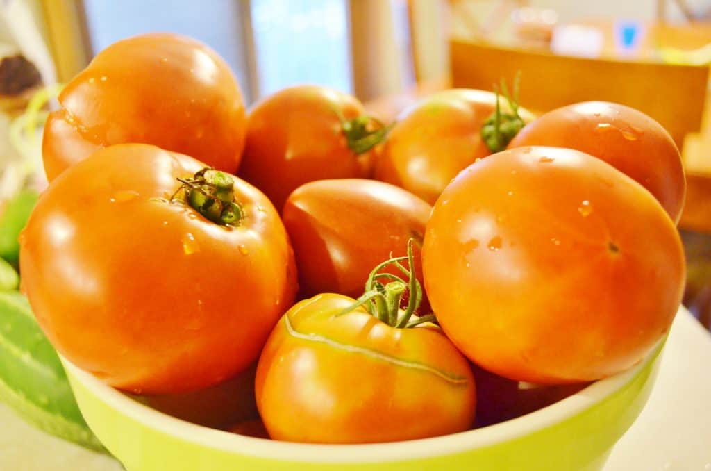 Fresh Tomatoes for DIY Homemade Spaghetti Sauce Canning Recipe