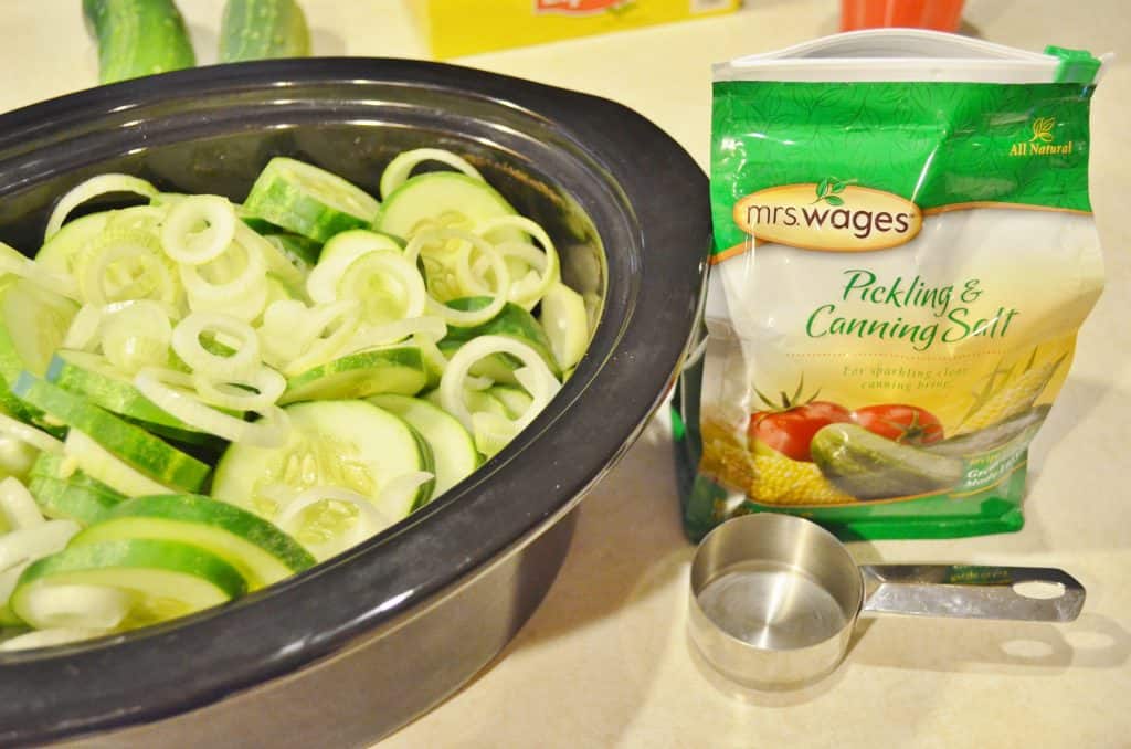 DIY Canning Homemade Pickles Recipes