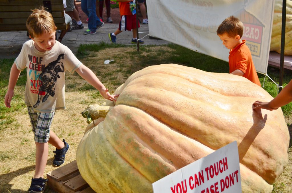 Iowa State Fair