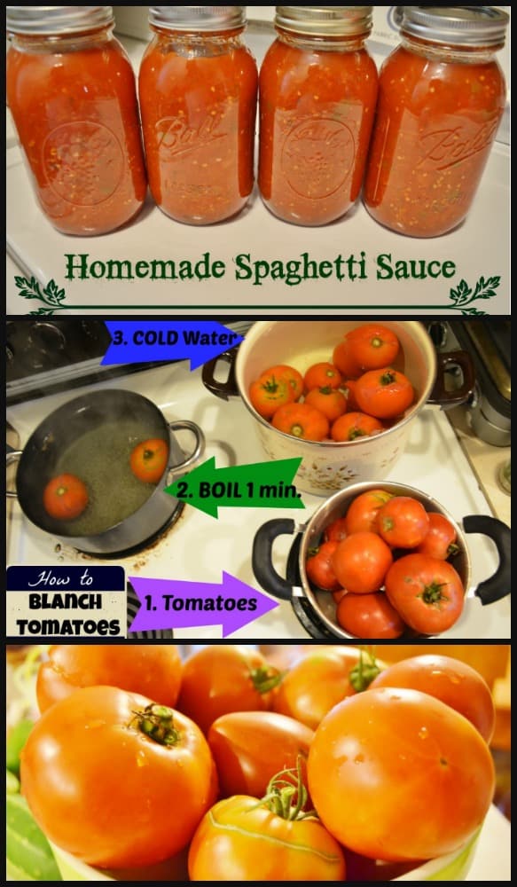 Fresh Homemade Spaghetti Sauce Canning Recipe