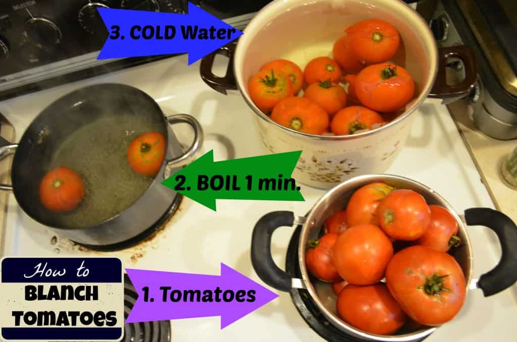 How to Blanch Tomatoes for DIY Homemade Spaghetti Sauce Canning Recipe