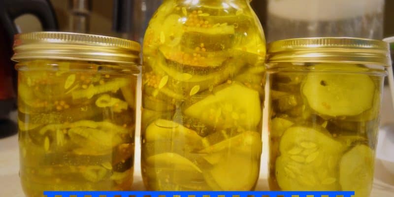 diy homemade pickles photo