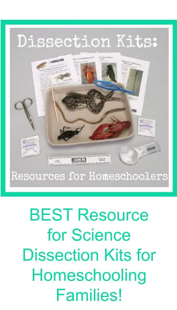 Best Resource for Homeschool Families for Science Dissection Kits for Homeschoolers
