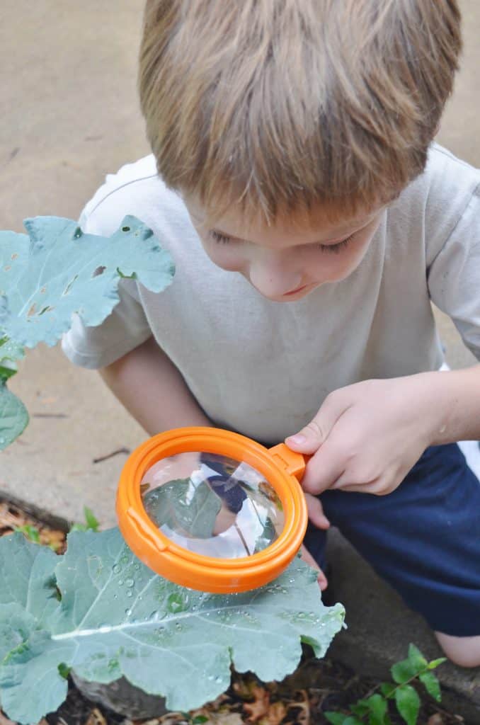 Learning Resources Magnifying Glasses