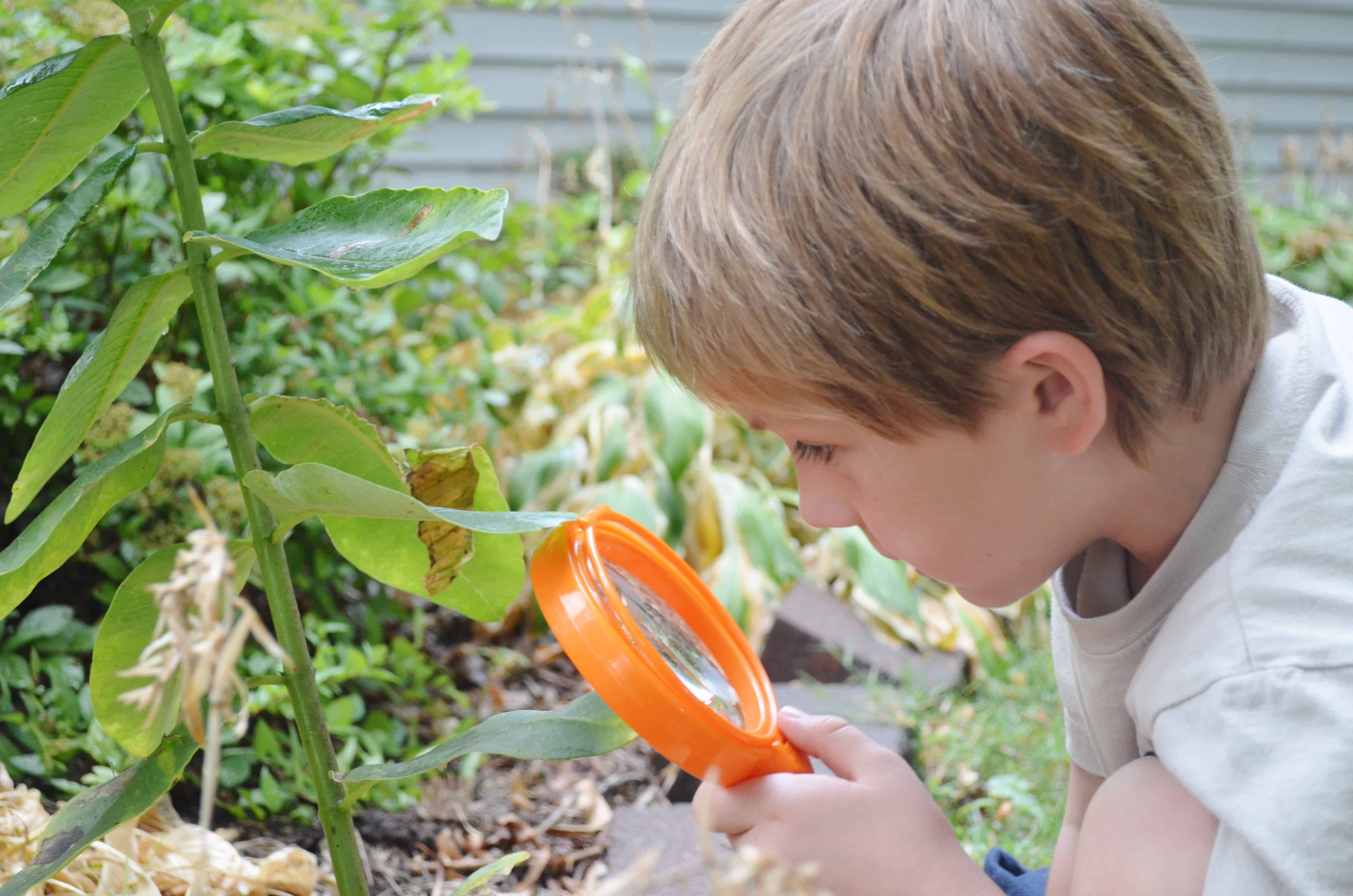 Primary Science Jumbo Magnifiers Review by Learning Resources
