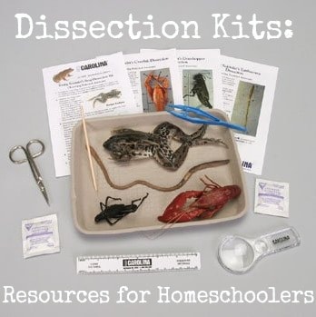 dissection kit homeschoolers