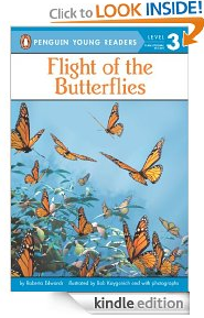 flight of the butterflies